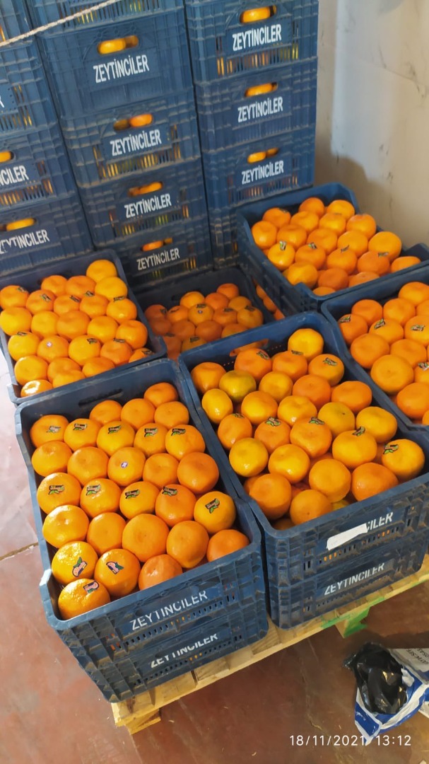 a la venta cantidades al por mayor de naranjas navaline de agricultura ecológica en Turquía
