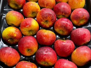 Venderé una manzana Topacio y otras variedades de postre.