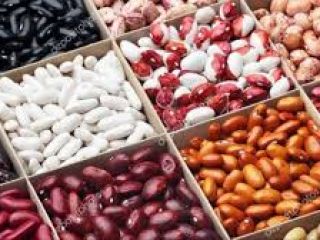 Compra frijoles. Venta de frijoles Frijoles al por mayor.