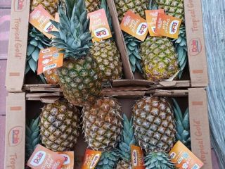Hola, Lima 4 kg-18 PLN Mandarina 10 kg-27 PLN