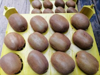Kiwi de alta calidad seleccionado de las mejores fincas