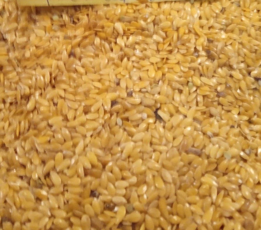 Venderé lino dorado (Jantarol) cosecha 2021