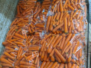 Vendemos zanahoria fresca de primera envasada en bolsas de
