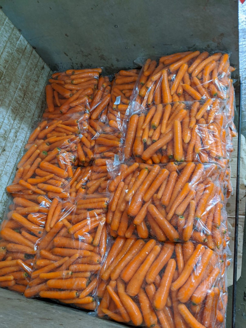 Vendemos zanahoria fresca de primera envasada en bolsas de plástico de 5 kg