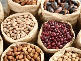 Venta de frijoles a granel (en surtido) Vendemos frijoles