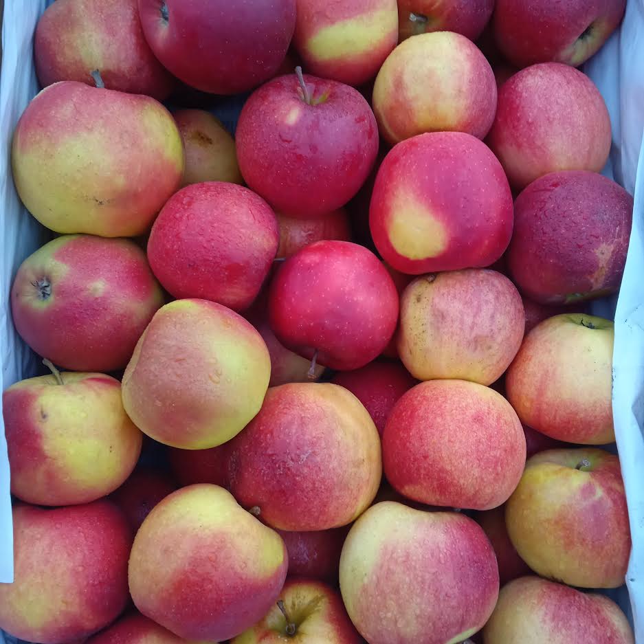 Envío manzanas y peras de postre a todo el país desde mi propio huerto