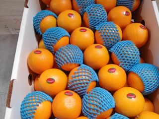 Naranja Valencia Precio Especial Calidad Extra