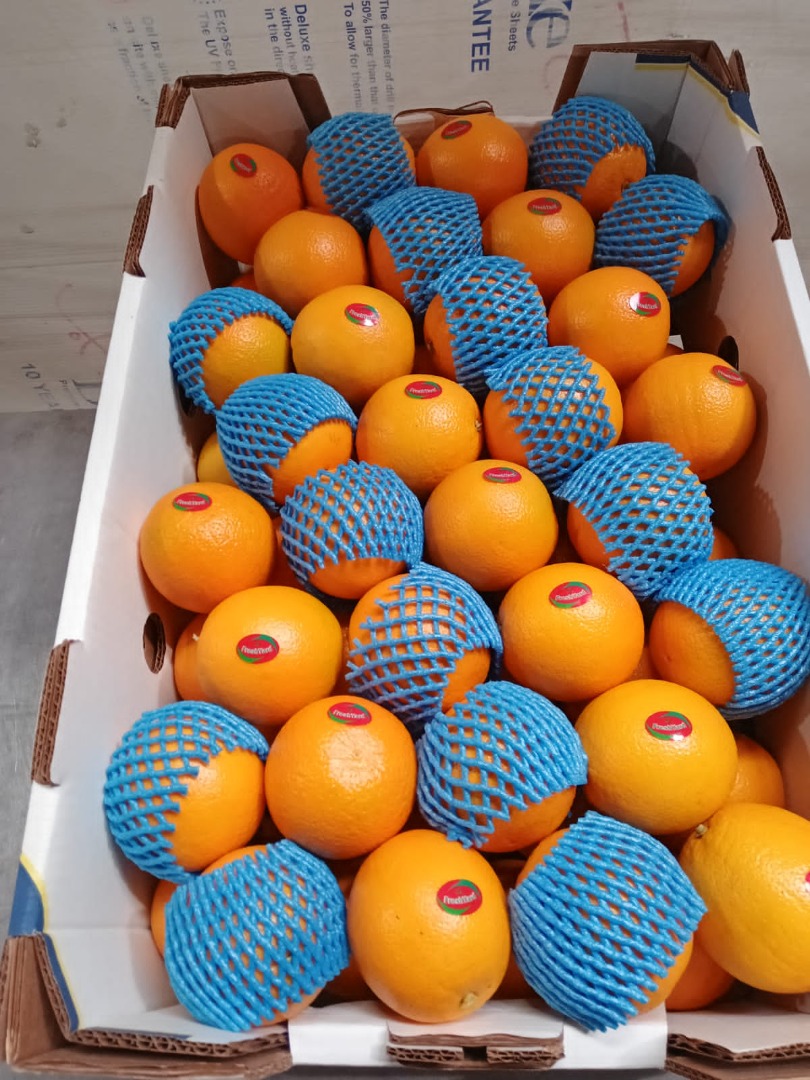 Naranja Valencia Precio Especial Calidad Extra
