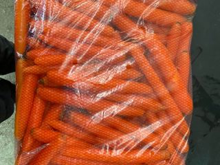 ZANAHORIA - calidad superior --- Información de exportación en