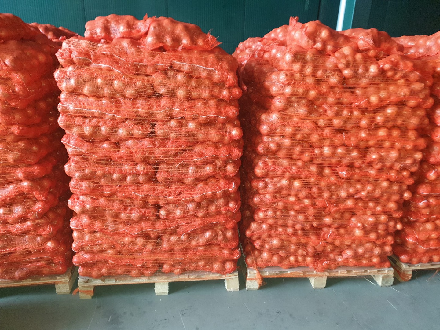 CEBOLLA CALIDAD PREMIUM --- EXPORTACIÓN Información en Viber, Whatsapp
