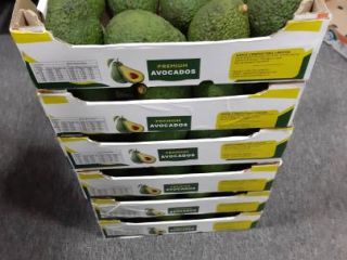 Hola, hass, fuerte avacado Disponible a buen precio Precio