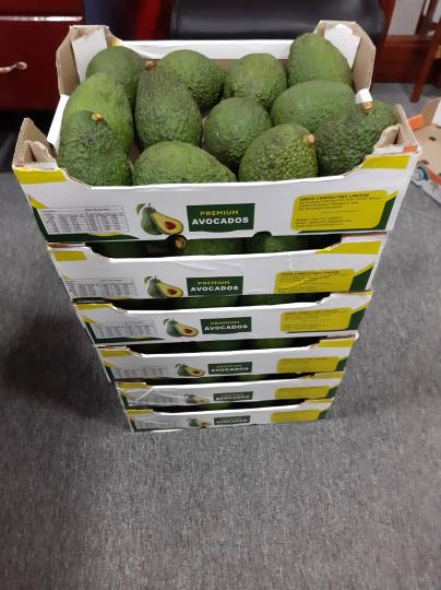 Hola, hass, fuerte avacado Disponible a buen precio Precio Garantía de calidad Número de Correo electrónico