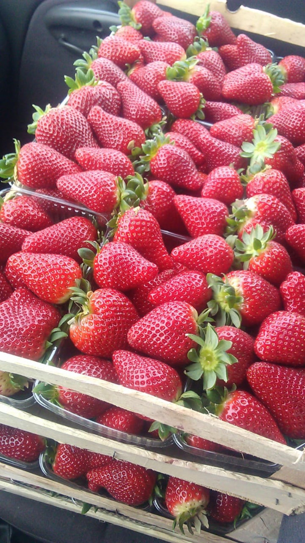 Las fresas provienen de Albania