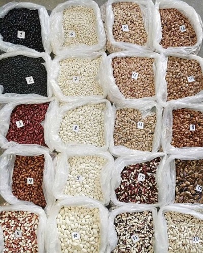 Vendo frijoles de alta calidad