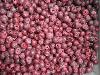 CEREZA CONGELADA S/K (con hueso), paquete 10 kg, caja