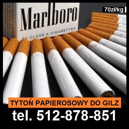 Vendo papel Tyt0n, embalado en bolsas de hilo de 1 kg al precio de 70 PLN / kilogramo + 25 PLN envío de mensajería, pago contra reembolso