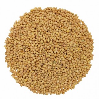 Compraré frijoles, lino (marrón, dorado), sorgo, mijo