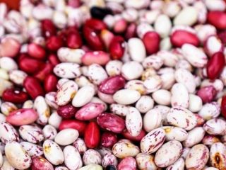 Vendemos frijoles de alta calidad. Más de 20 variedades
