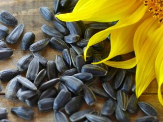 Podemos suministrarle Aceite de Girasol de calidad, con las