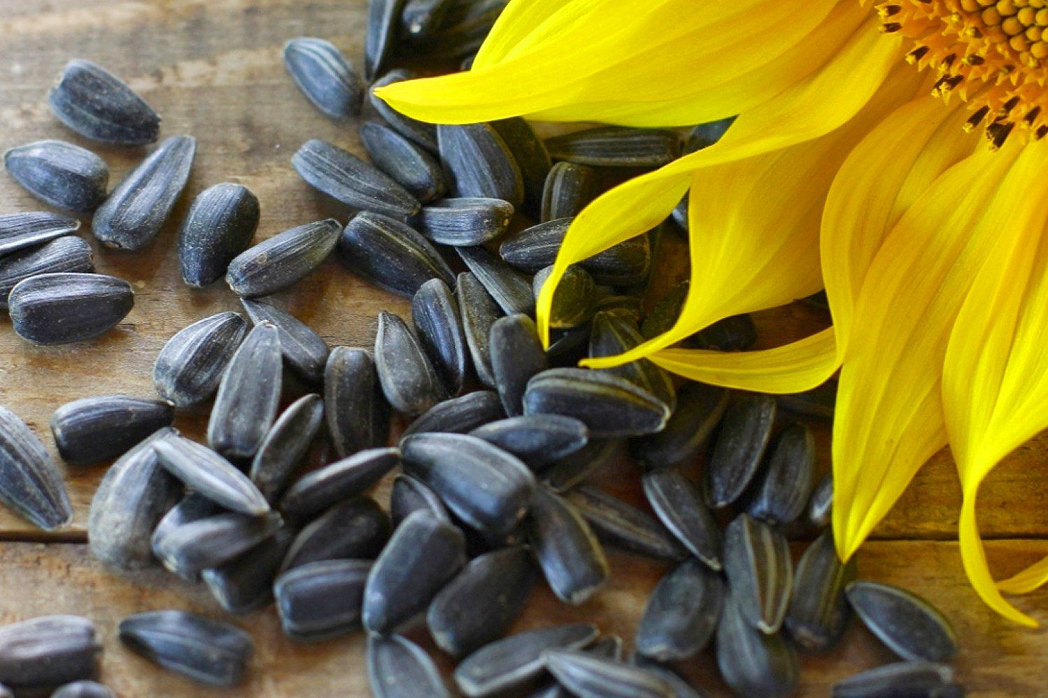 Podemos suministrarle Aceite de Girasol de calidad, con las siguientes características; Tipo: ACEITE DE GIRASOL Tipo de producto: Aceite de nuez y semilla Tipo