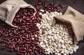 Frijoles al por mayor en surtido