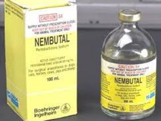 Compre Nembutal en línea.. / Lo mejor de Nembutal