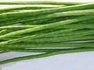 Muslos de verduras frescas de la India