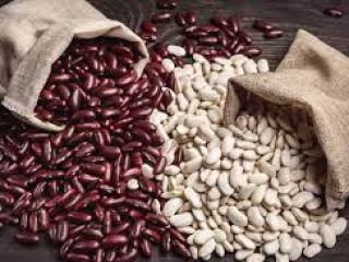 Frijoles al por mayor en el surtido. Bins Natur
