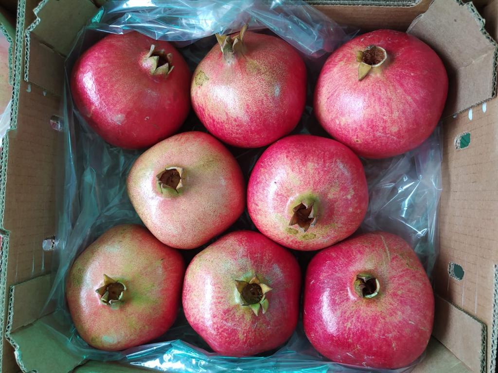 Granada maravillosa de Perú Calibres: 9 - 18 Cajas de: 3.8kg , 5kg