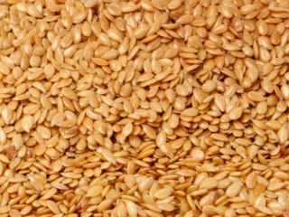 El grupo de empresas «ExportGrain» exporta semillas de lino