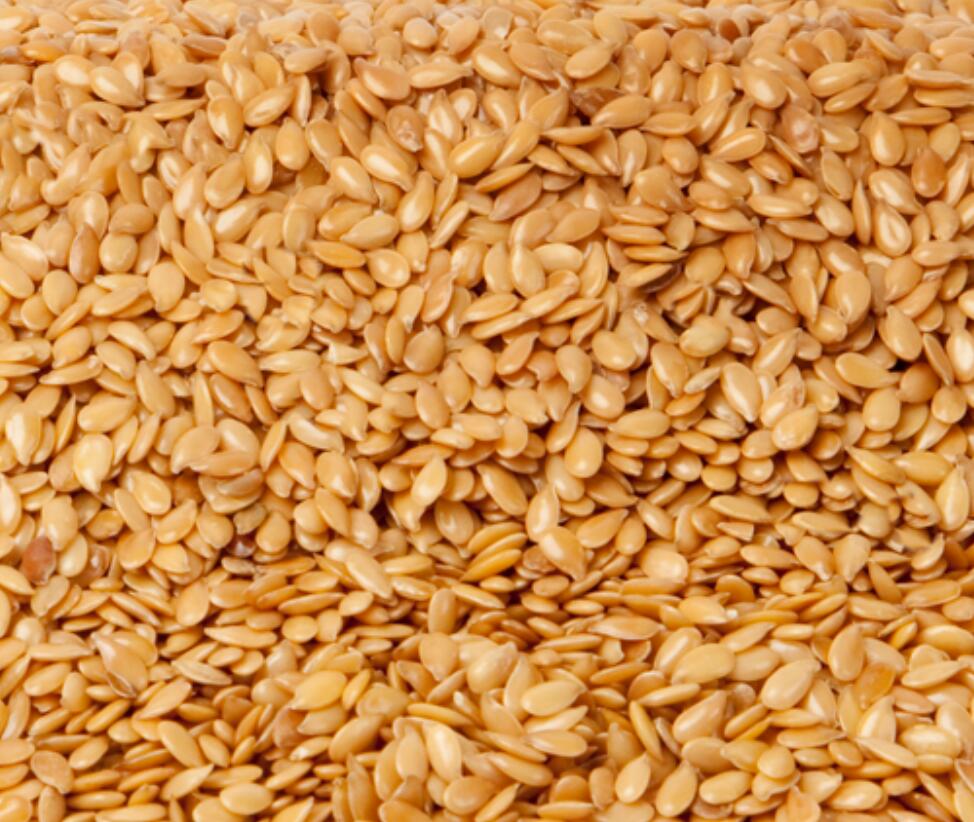 El grupo de empresas «ExportGrain» exporta semillas de lino de origen kazajo, bajo la condición FCA Kazajistán