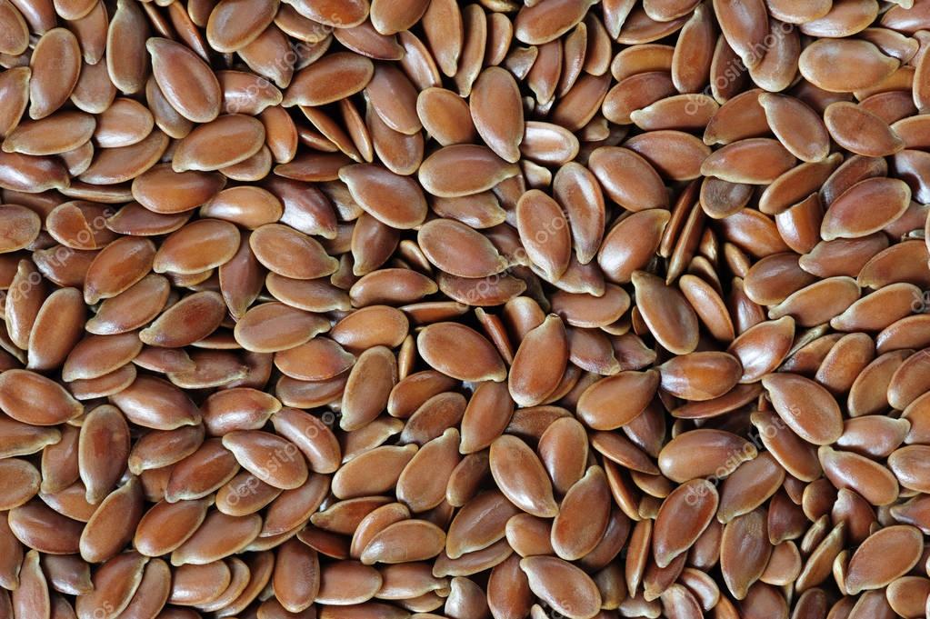 El grupo de empresas "ExportGrain" exporta semillas de lino, origen Kazajstán, FCA Kazajstán