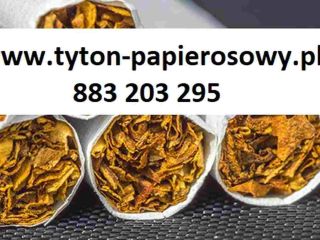tabaco barato para cigarrillos. Tyton Corsair, Marlboro, Camel, LM,