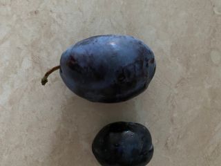 Stanley Plum Vendemos grandes cantidades de variedades de Stanley