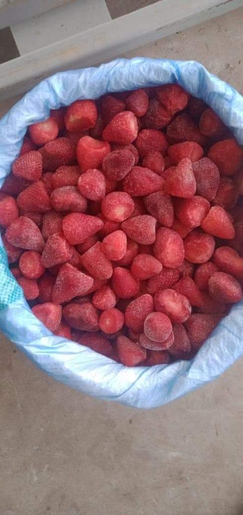 Gran Precio...............Fresas IQF Variedad: fortuna y festival Calibre 15-35 Empaque: Cartón 10 kg Clase 1