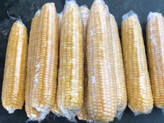 Maíz Dulce Seleccionado Megaton F1. ¡Para exportación! Choque congelado