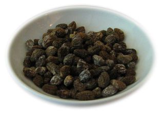 compre cápsulas de iboga de calidad, iboga TA, corteza