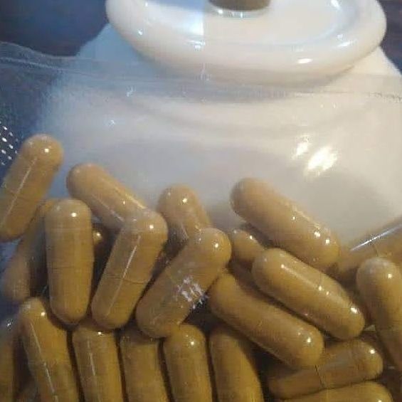 Compre Ibogaína, Ibogaína hcl, raíz de Iboga, Ibogaína TA, cápsulas de Iboga AQUÍ