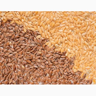 La empresa compra todo el año: - Lino pardo ($ 730) - Lino dorado ($ 780), - Mijo ($ 265 precio), - Sorgo ($ 260), - Frijoles ($ 830 precio)