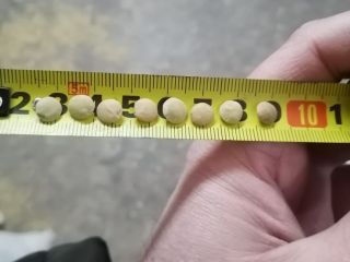 Venta de Lentejas Verdes, envasado en Big Bags o