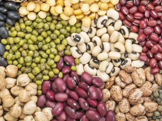 Comercio al por mayor de frijoles. Venta de frijoles.