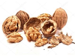 Compraré residuos del procesamiento de nueces: galletas, polvo, podredumbre,
