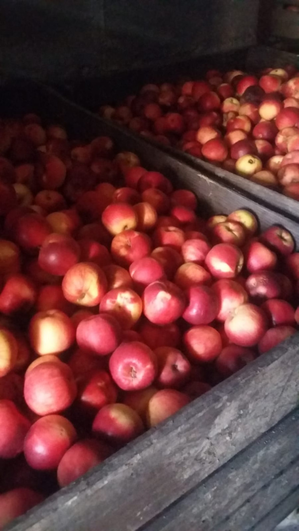 Estoy vendiendo manzanas de consumo al precio del fabricante