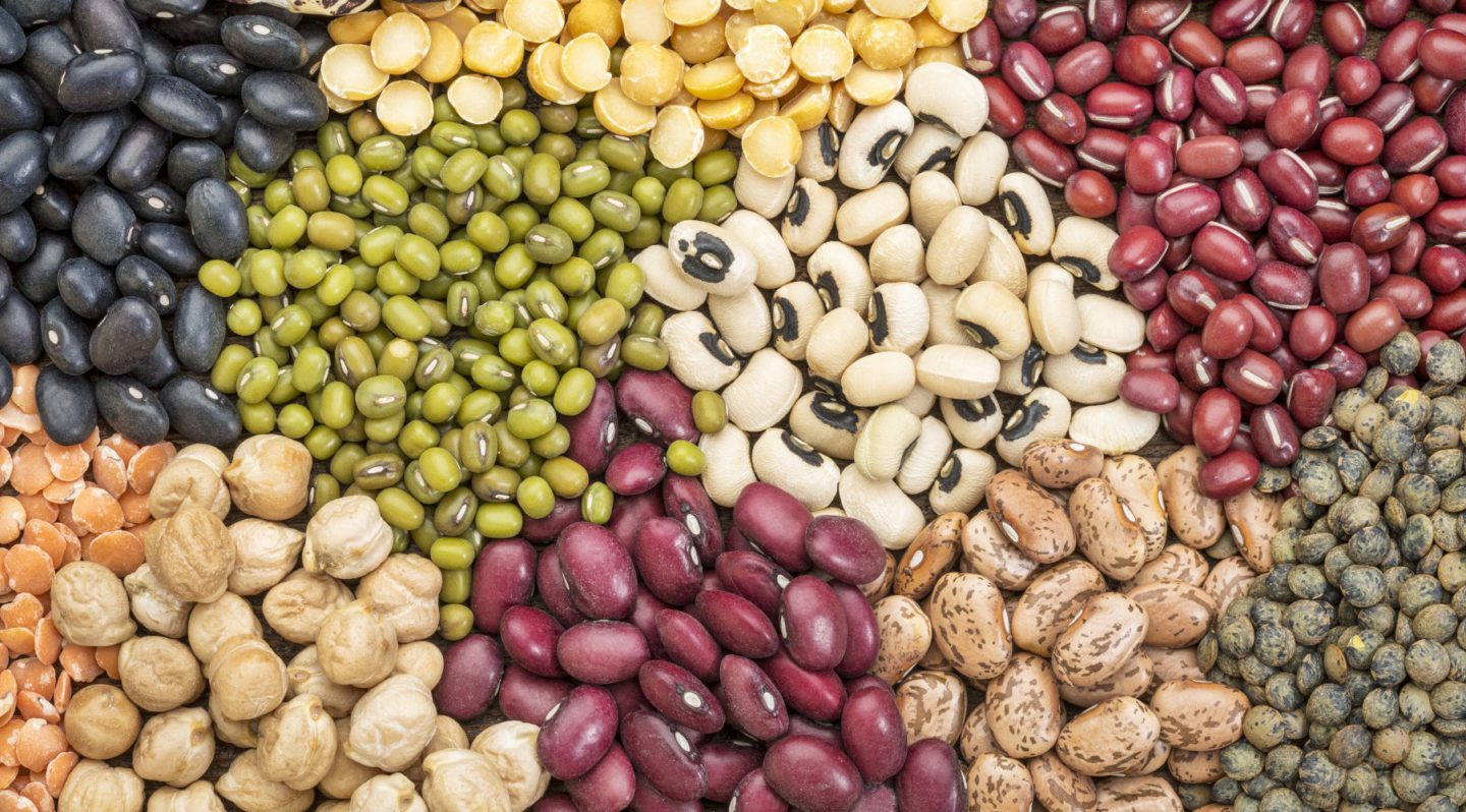 Comercio al por mayor de frijoles