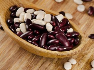 Frijoles de Ucrania. Venta al por mayor Diferentes variedades