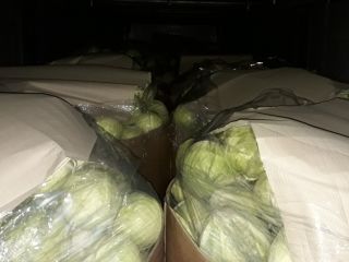 Hola vendo repollo blanco Storidor 1-4 kg repollo verde