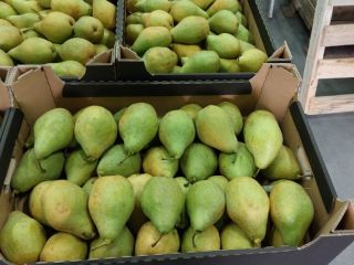 Venderé peras Xenia, las pondré en cualquier paquete.