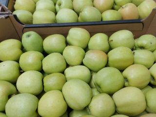 Hola. Venderé grandes cantidades de manzanas de diferentes variedades.