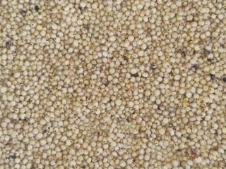 Venderé sorgo rojo 200 toneladas. Embalado en Big Bags.