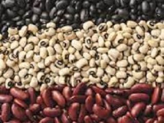 Frijoles. Venta al por mayor Entrega. Realizamos los suministros